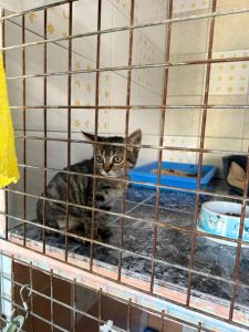 PHOTO-2025-10-30-17-11-57 3